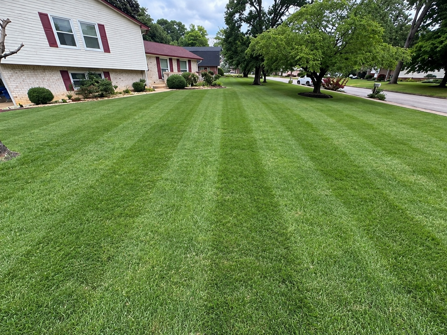 Freshly mowed residential lawn with clean, professional stripes